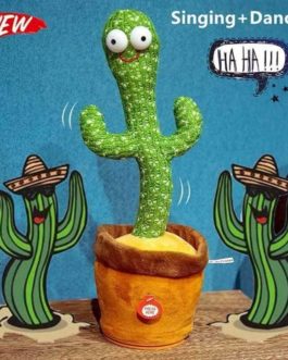 cactus plant toy