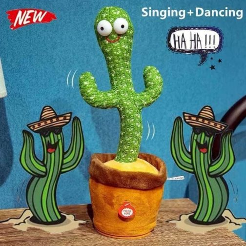 cactus plant toy