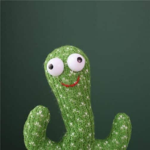 cactus toy zoom