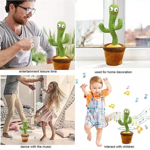 singing & dancing cactus uses